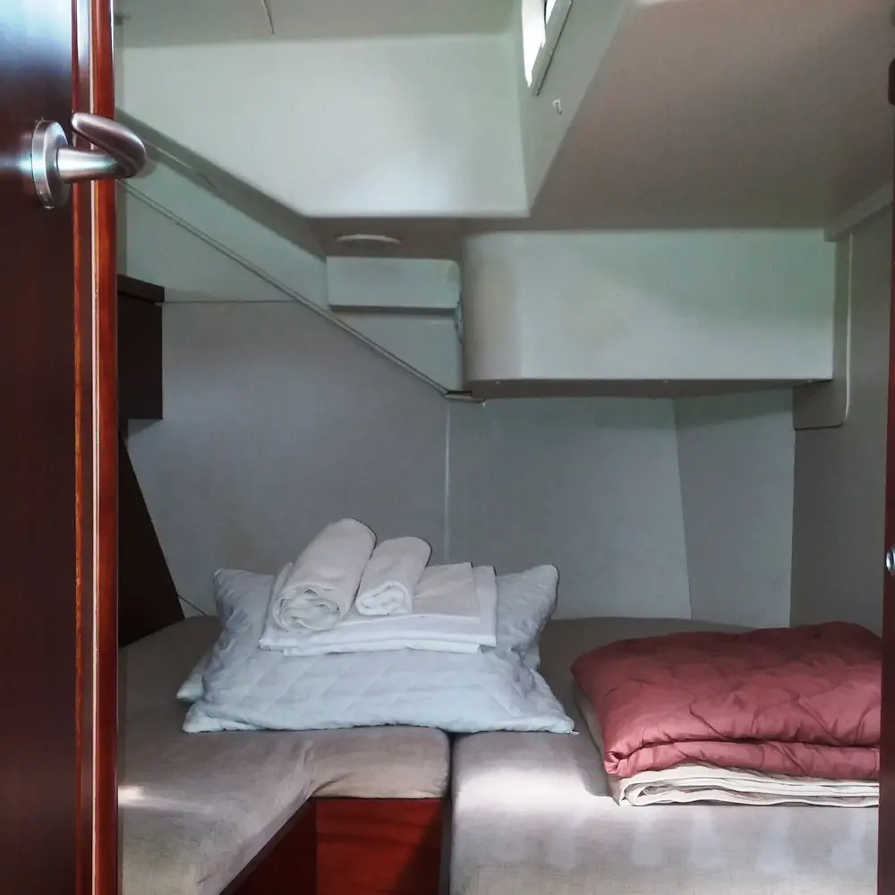 APOLLONIS 40
