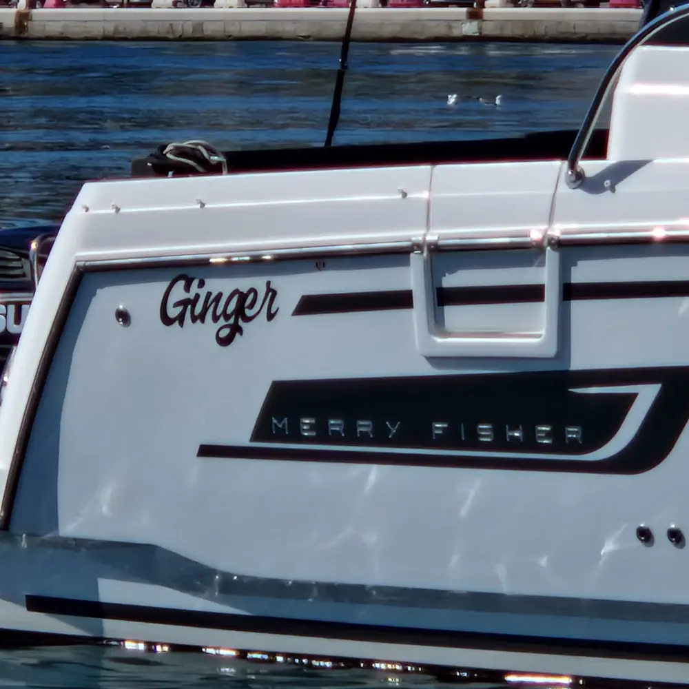Ginger 9