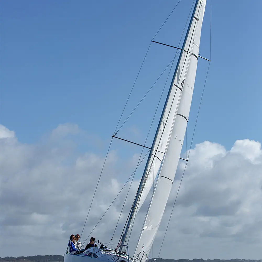 Gogox 11