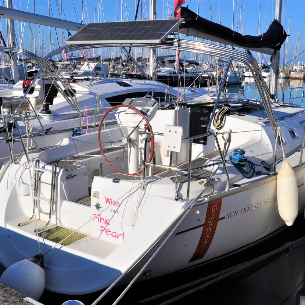 Pink Pearl 6
