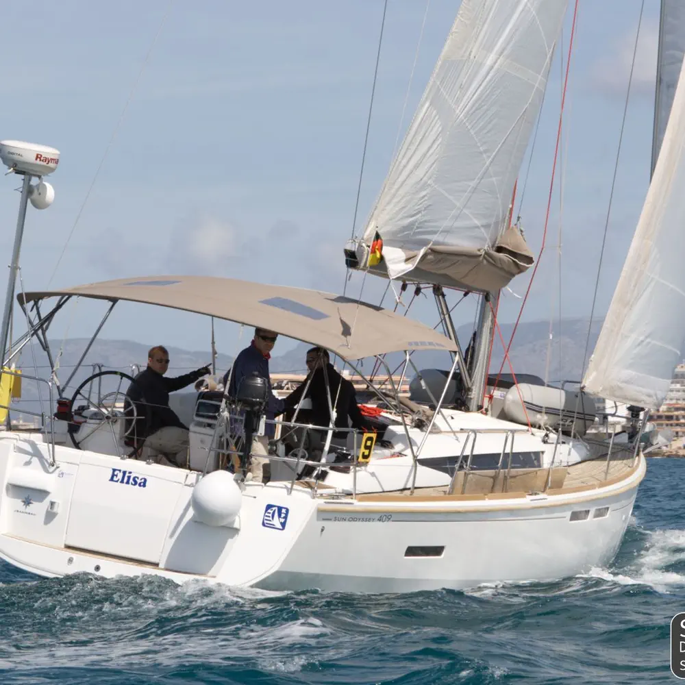 Veterano 24