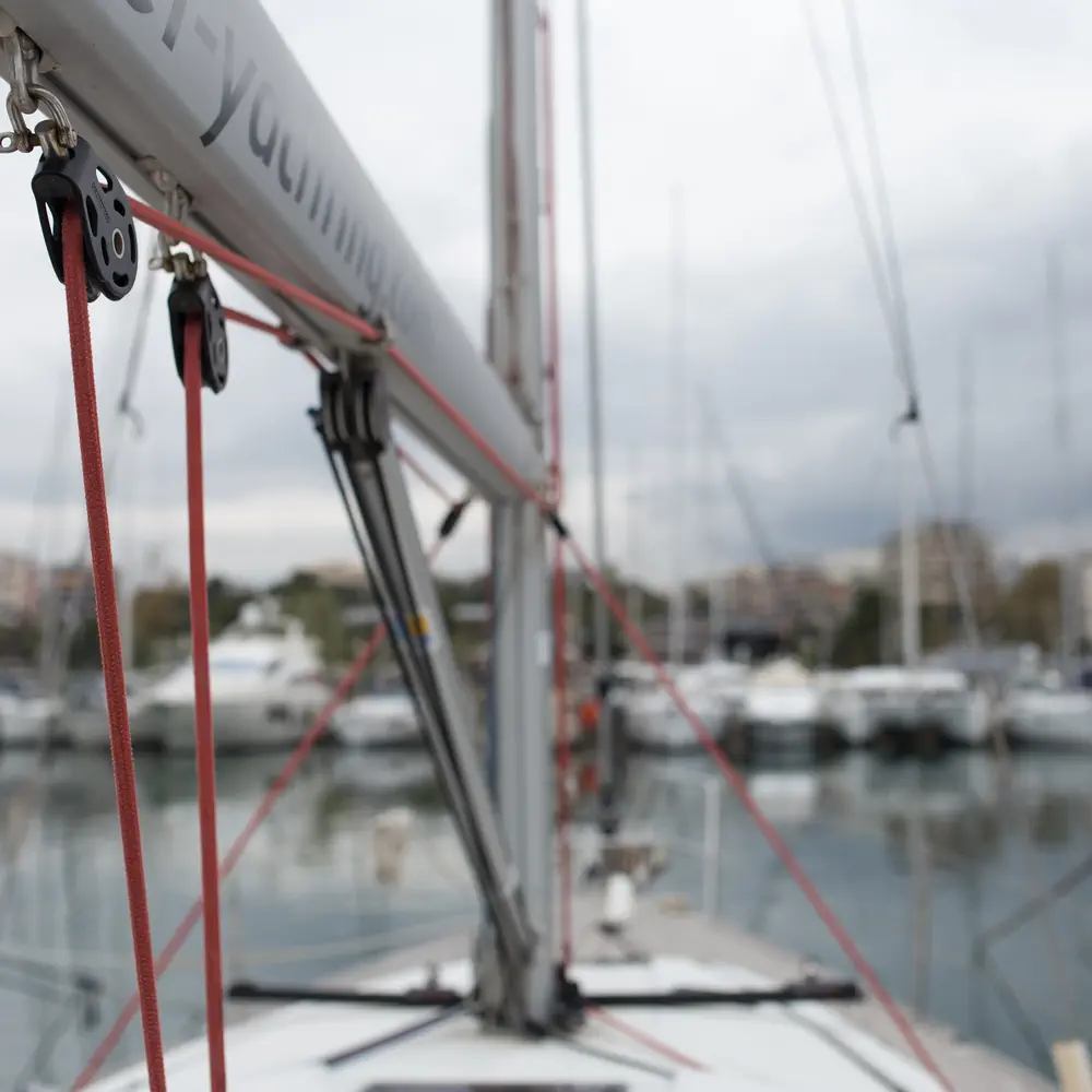Leonidas 38