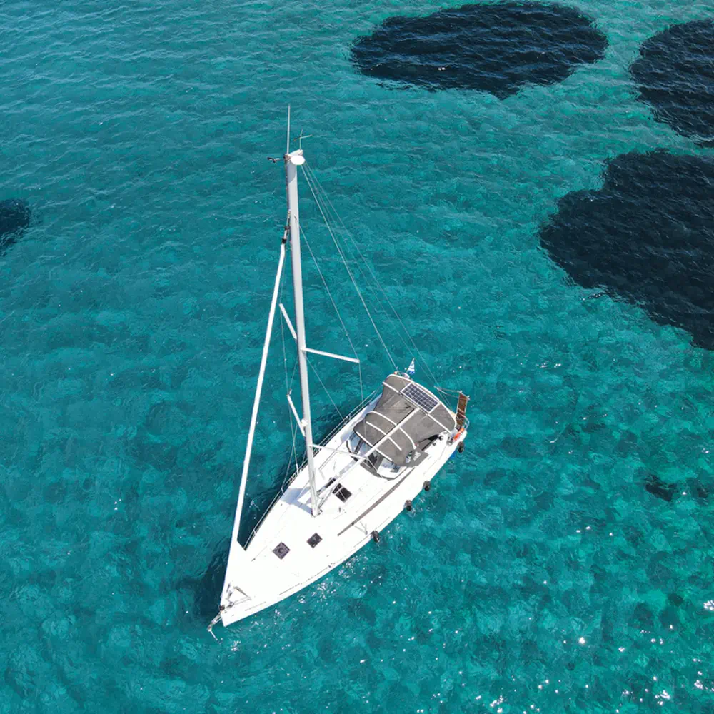 Marianna 51