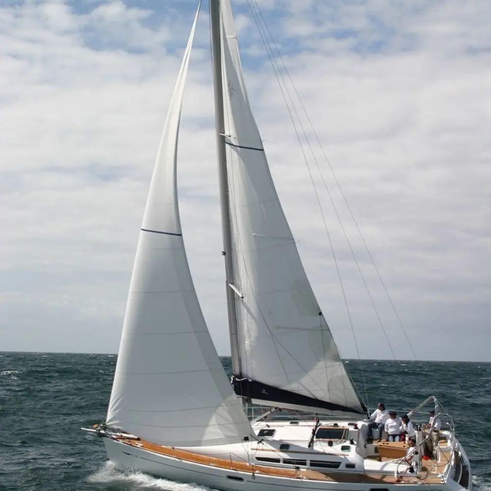 Argonaute 6