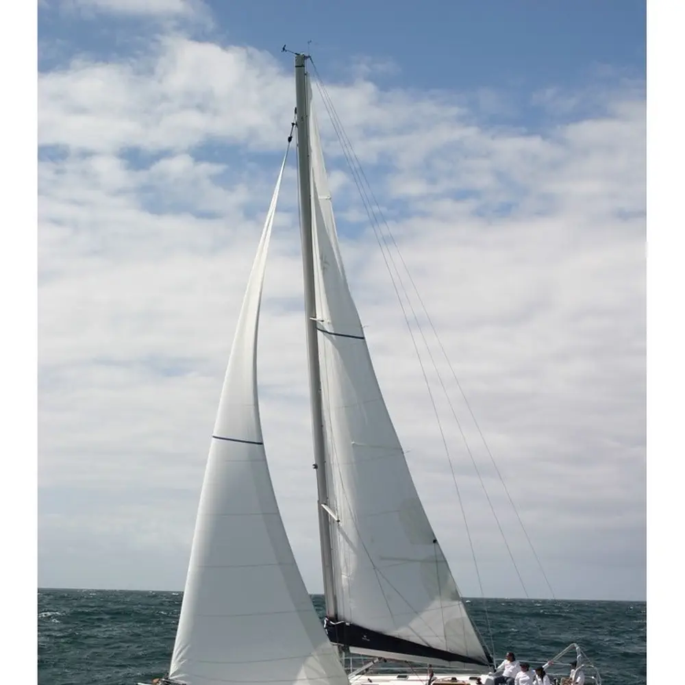 Argonaute 4