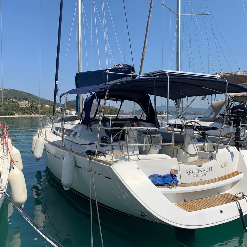 Argonaute 19