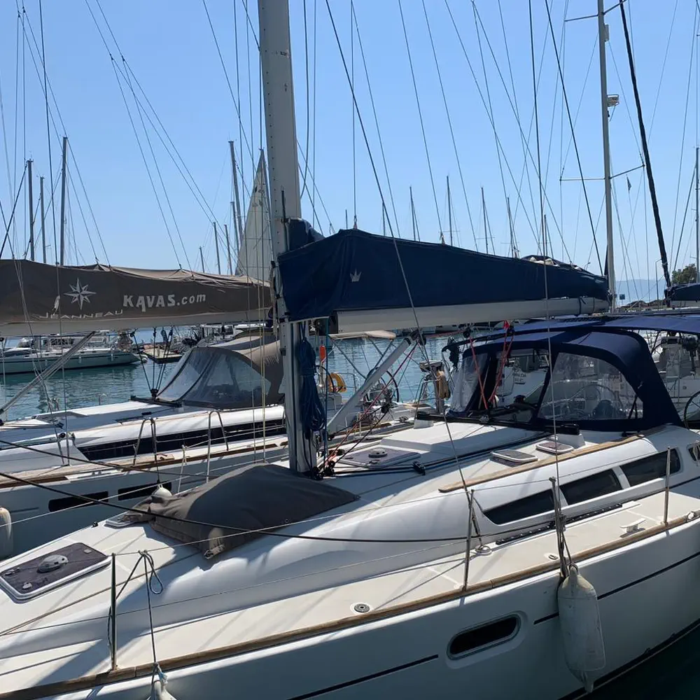 Argonaute 18