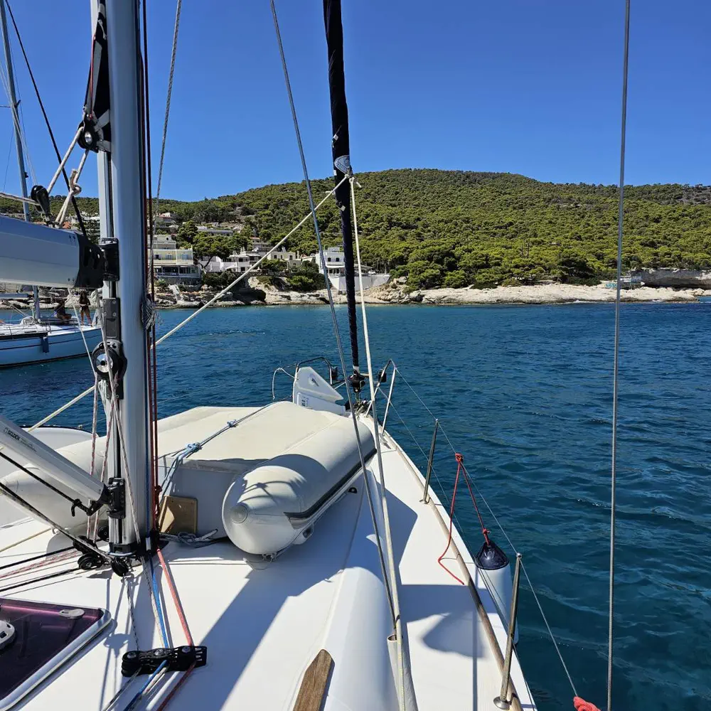 Posidonia 15
