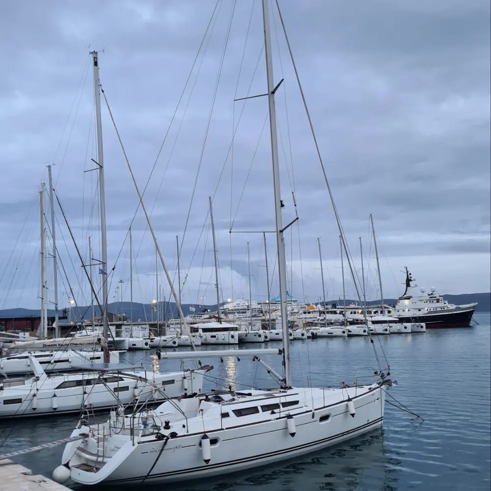 Posidonia 12