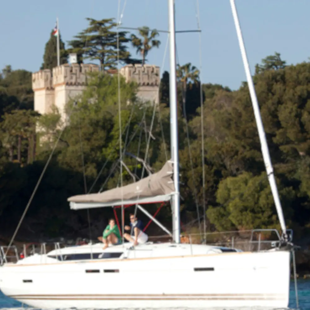 Amerigo 11