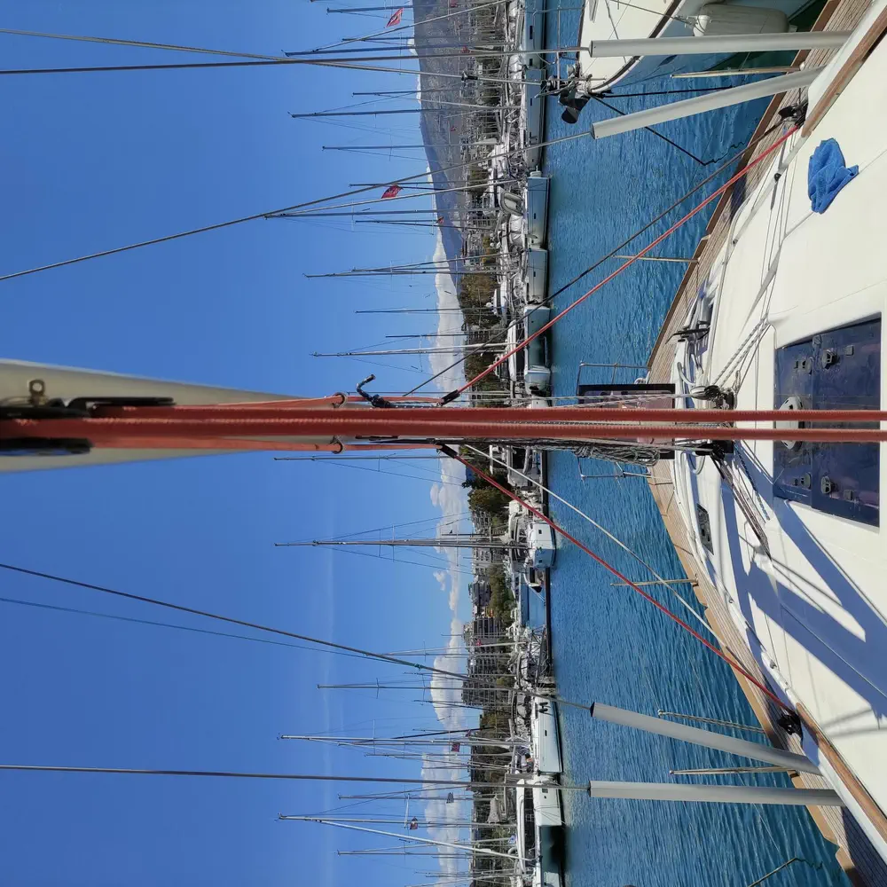 Spirus 12