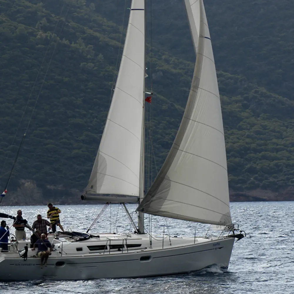 Safina 4