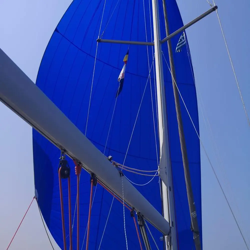 Aurora 12