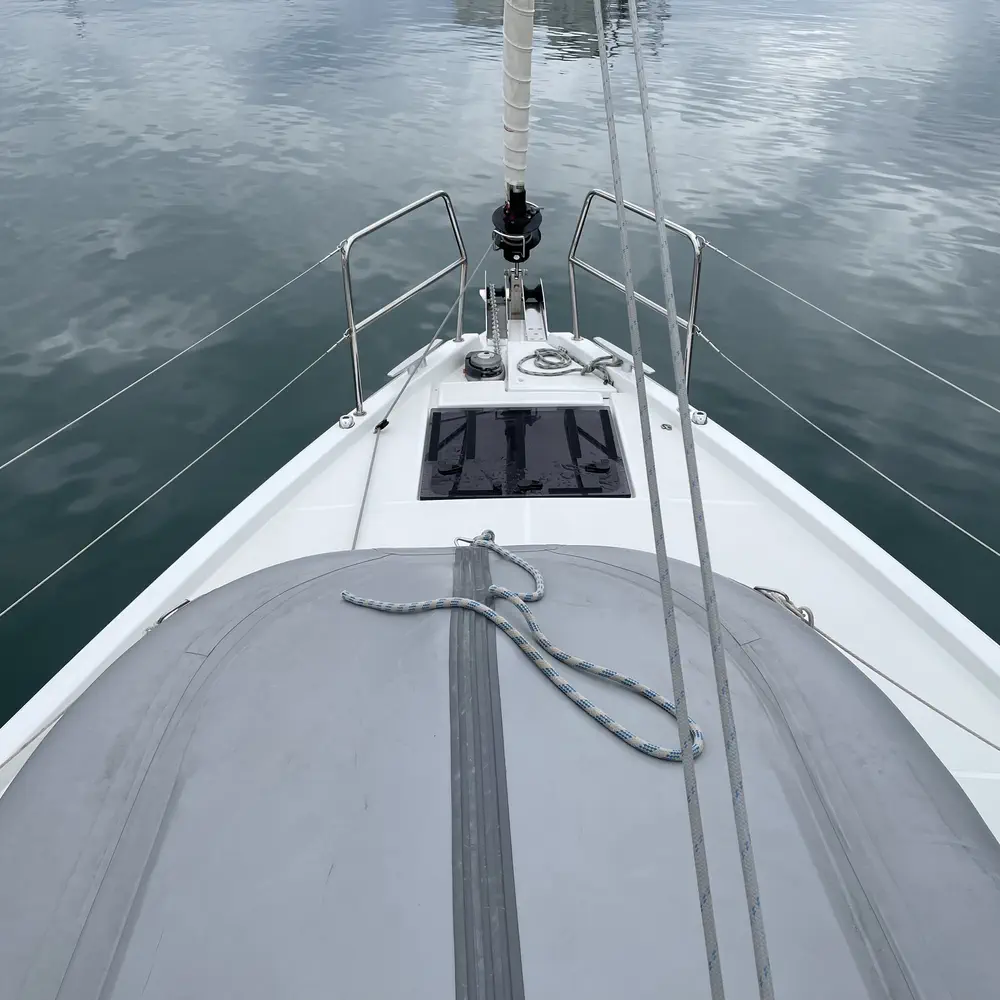 Iris 7