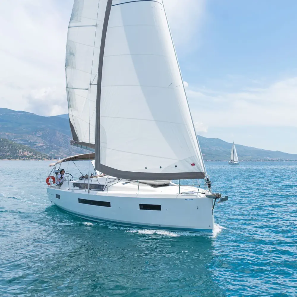 Bellatrix 14