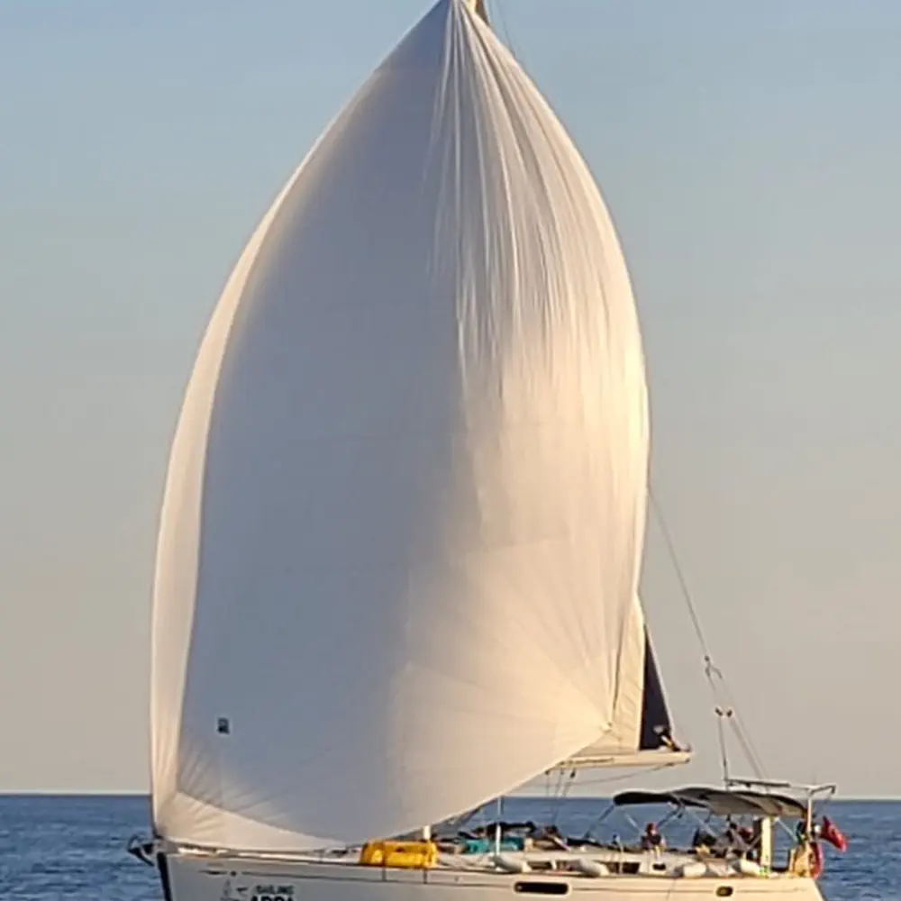 APPA 13