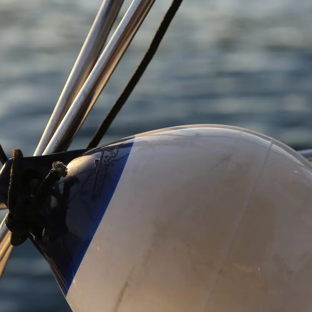 Sophia 26