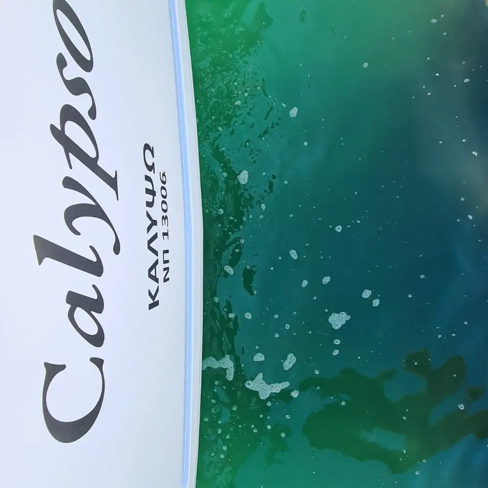 Calypso 8