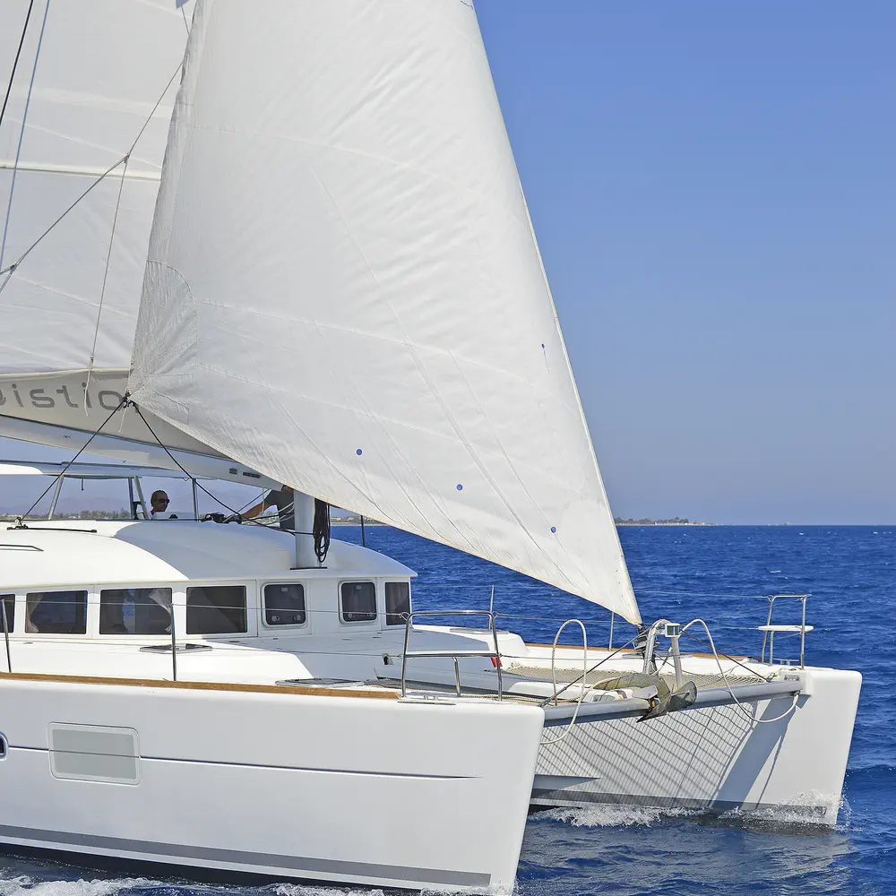 Erica 28