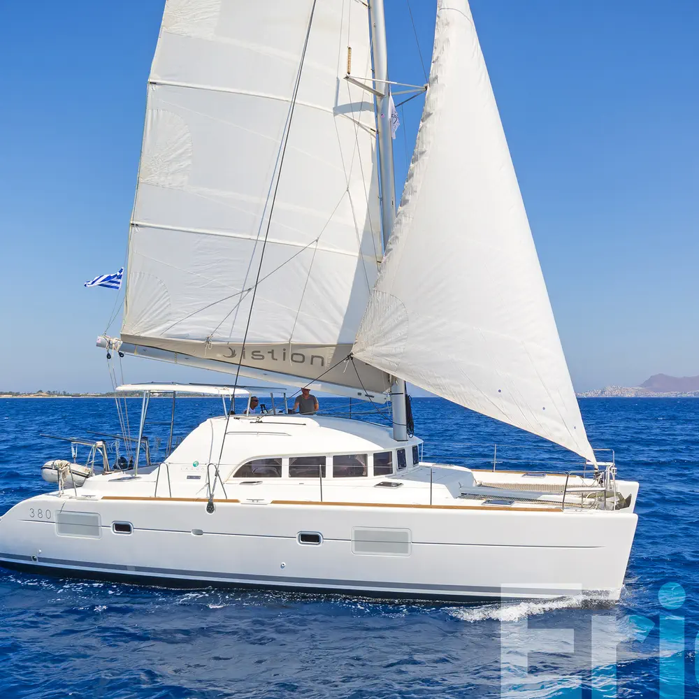 Erica 43