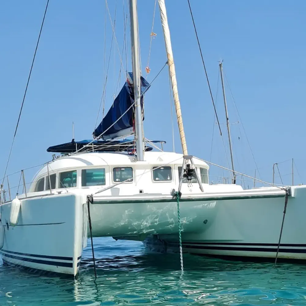 Mahi Mahi 5