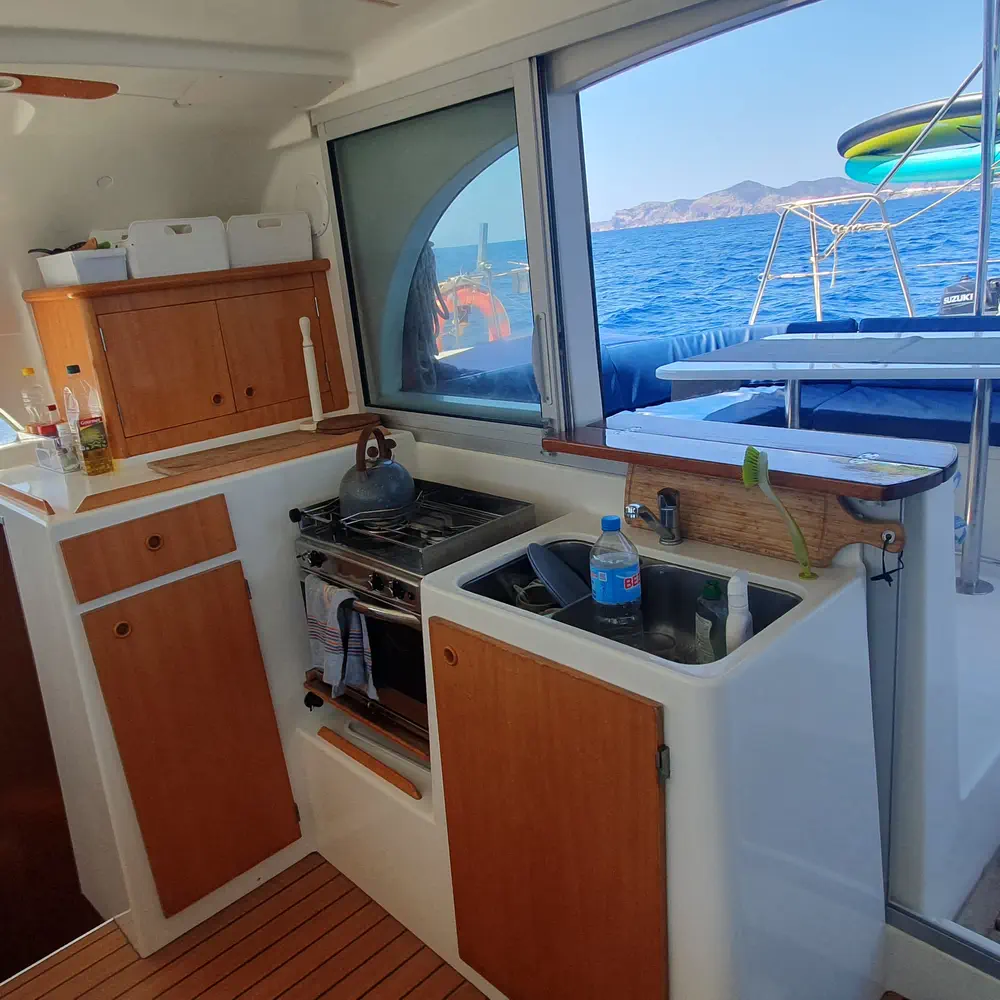 Mahi Mahi 12