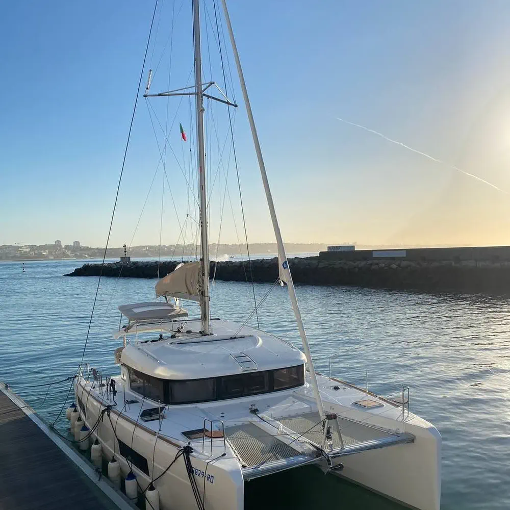 Solentia 51