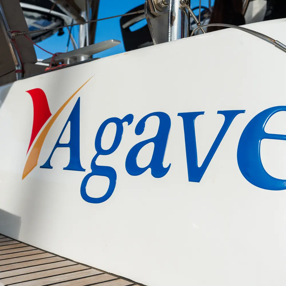 Agave - Premium line 1