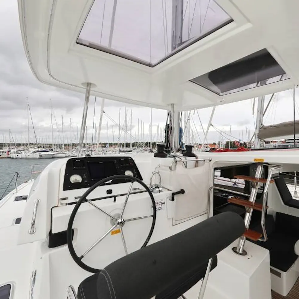Ice Cat 29