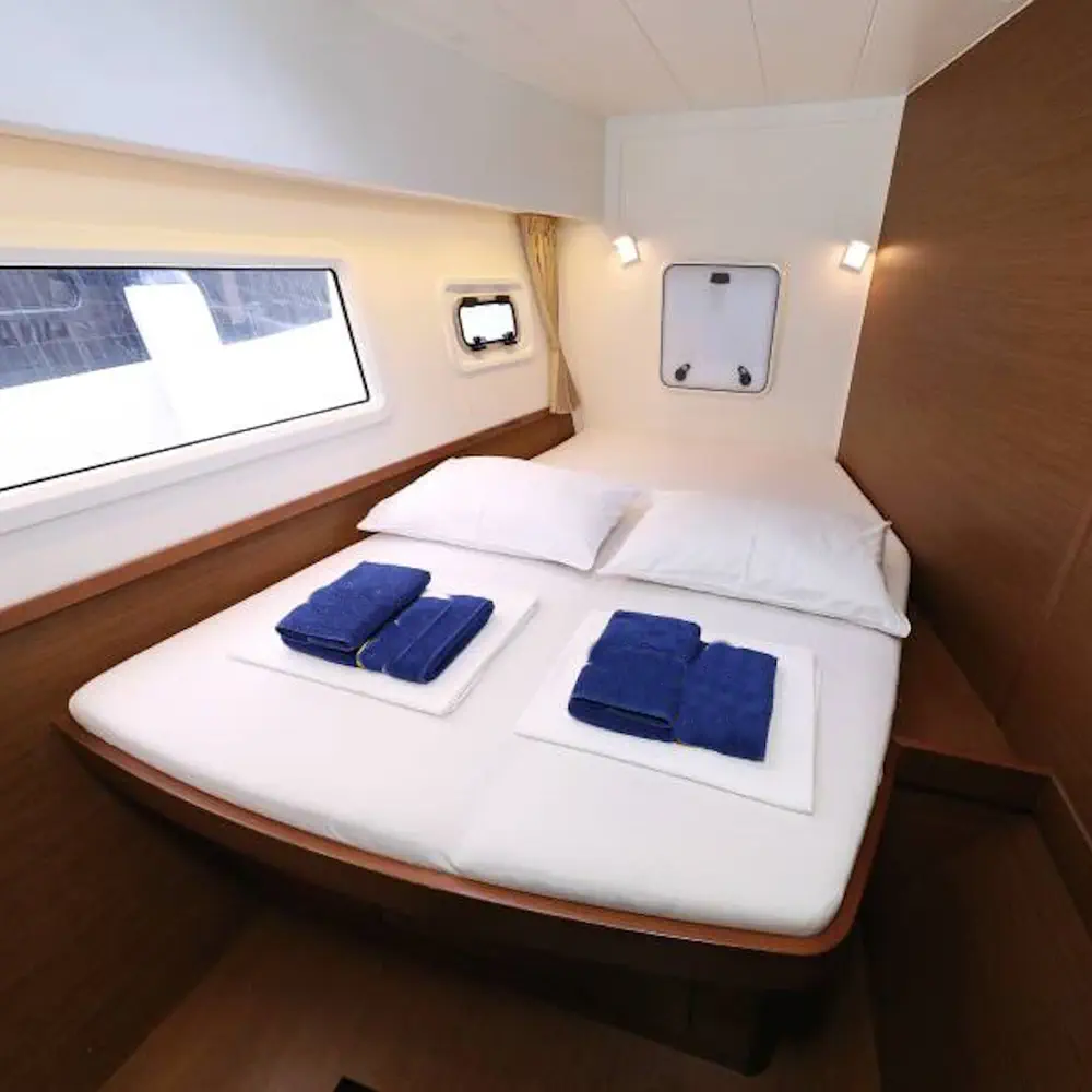 Ice Cat 31