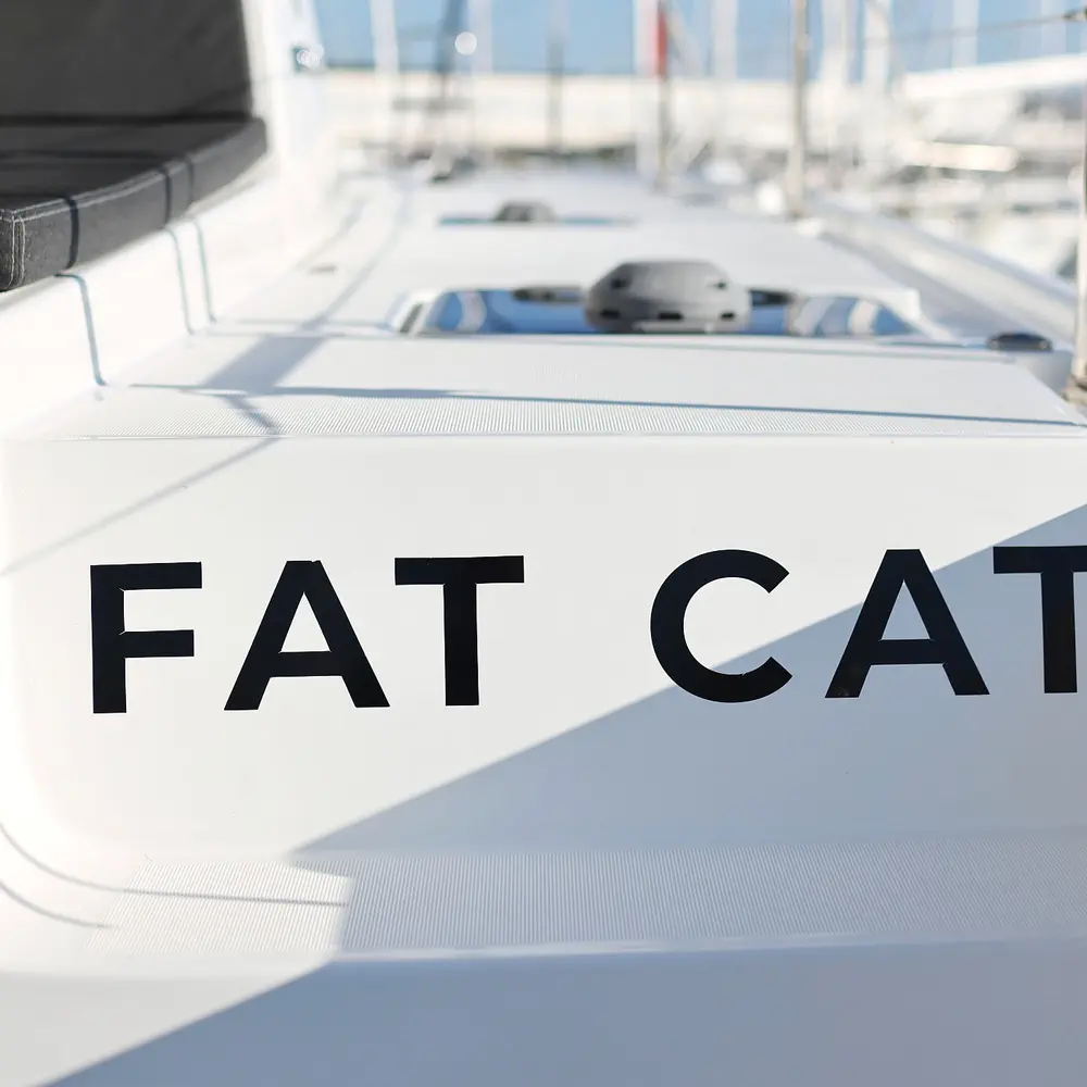FAT CAT 55