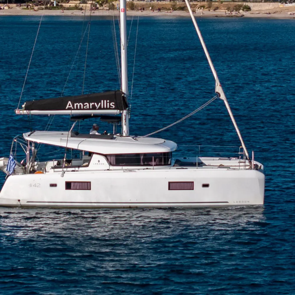 AMARYLLIS 7