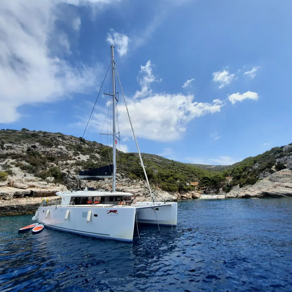 ADRIATIC CHEETAH 10