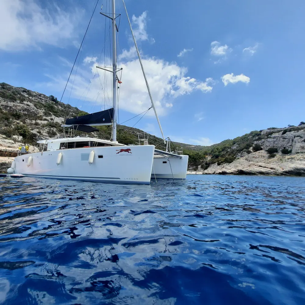 ADRIATIC CHEETAH 9