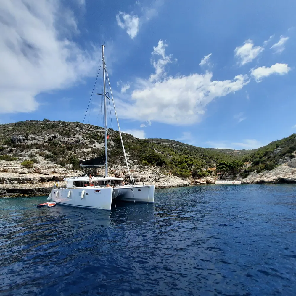 ADRIATIC CHEETAH 12