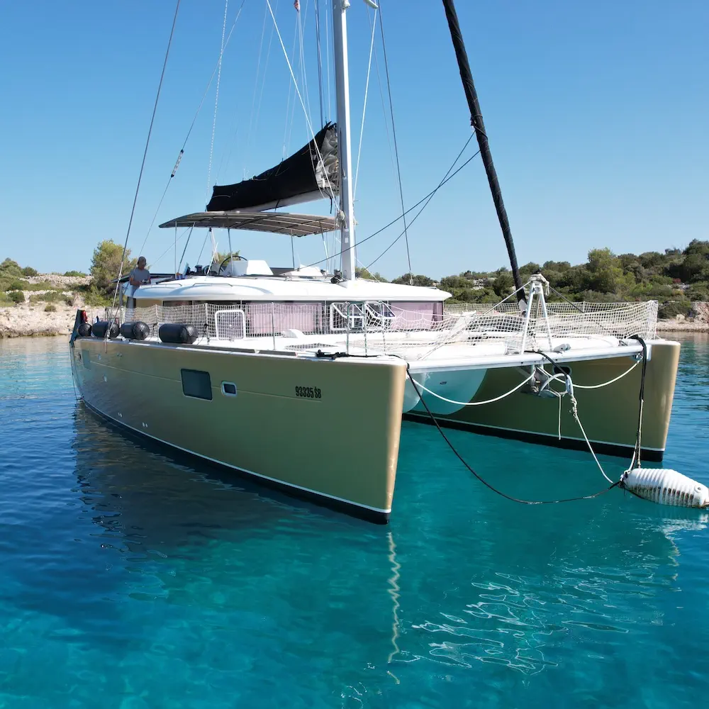 Black Duck 18