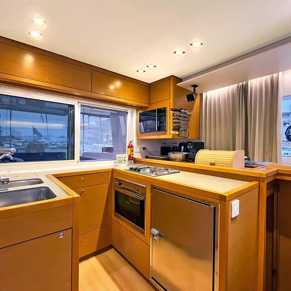 Black Duck 23
