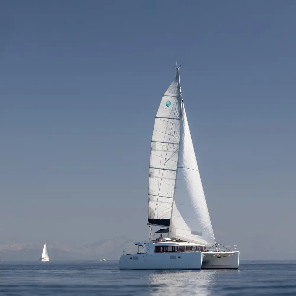 Falco 31