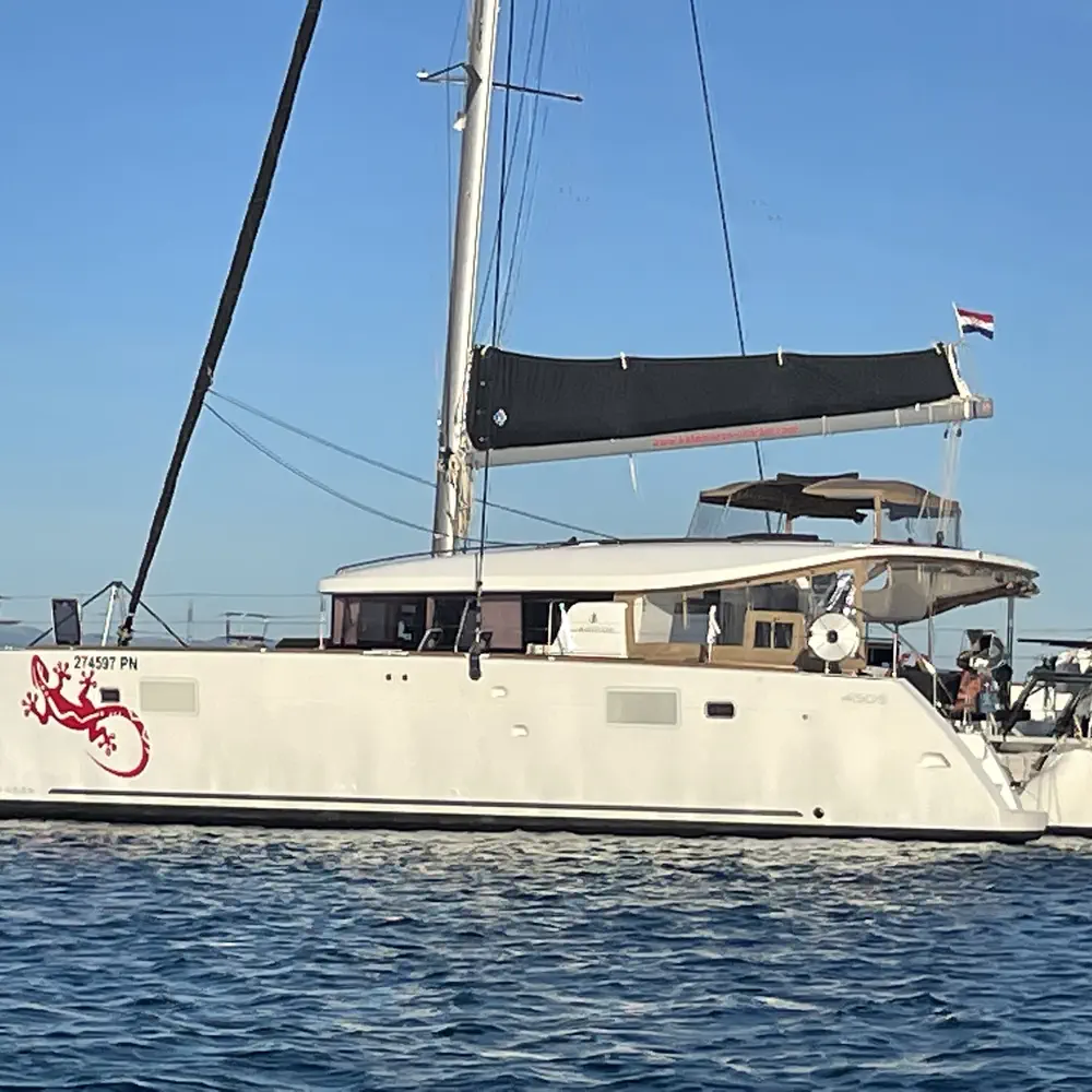 Gecko 12
