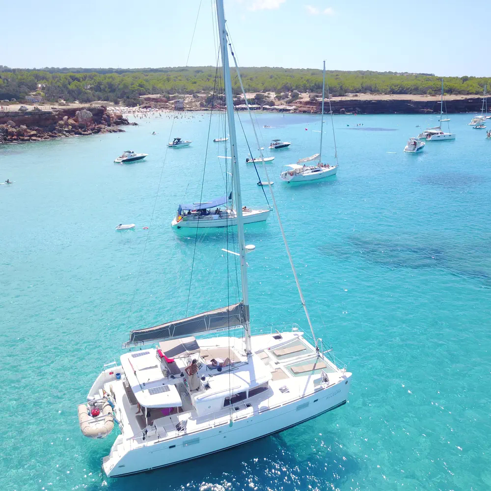 Allegra 5