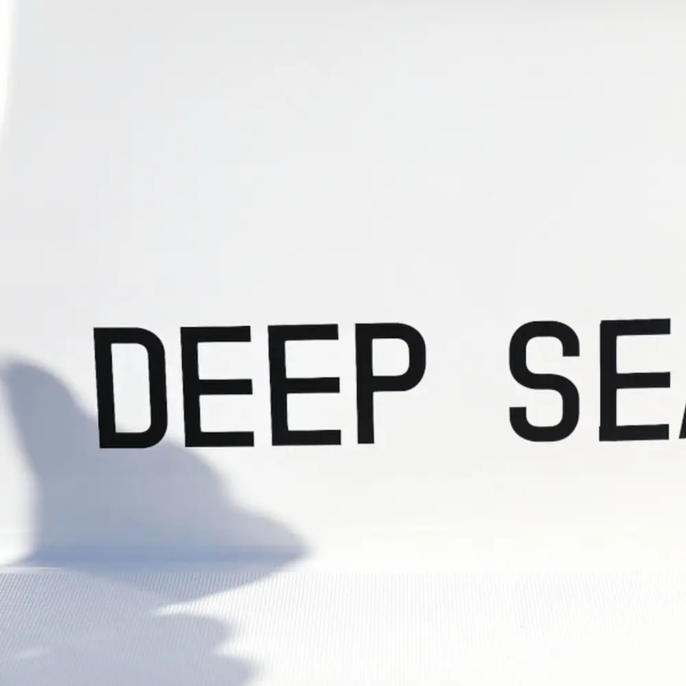 DEEPSEA 43