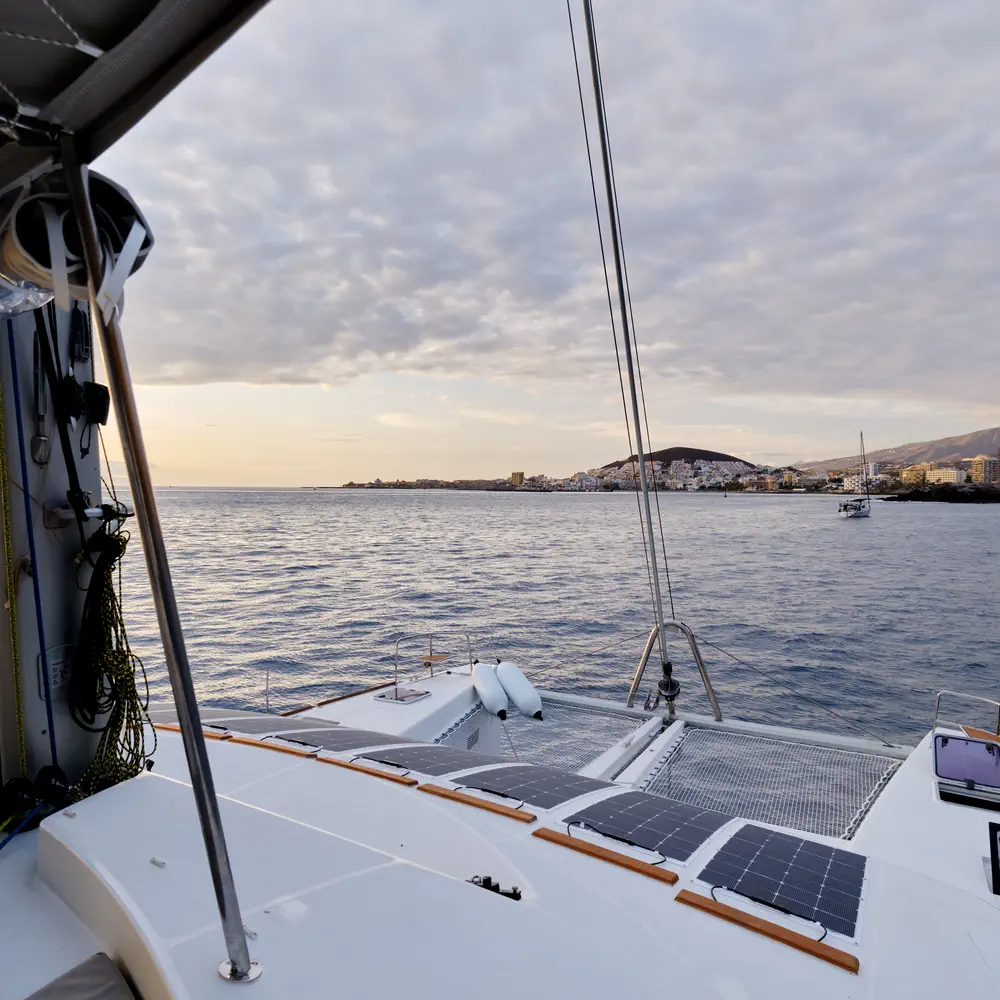 Neptuno  61