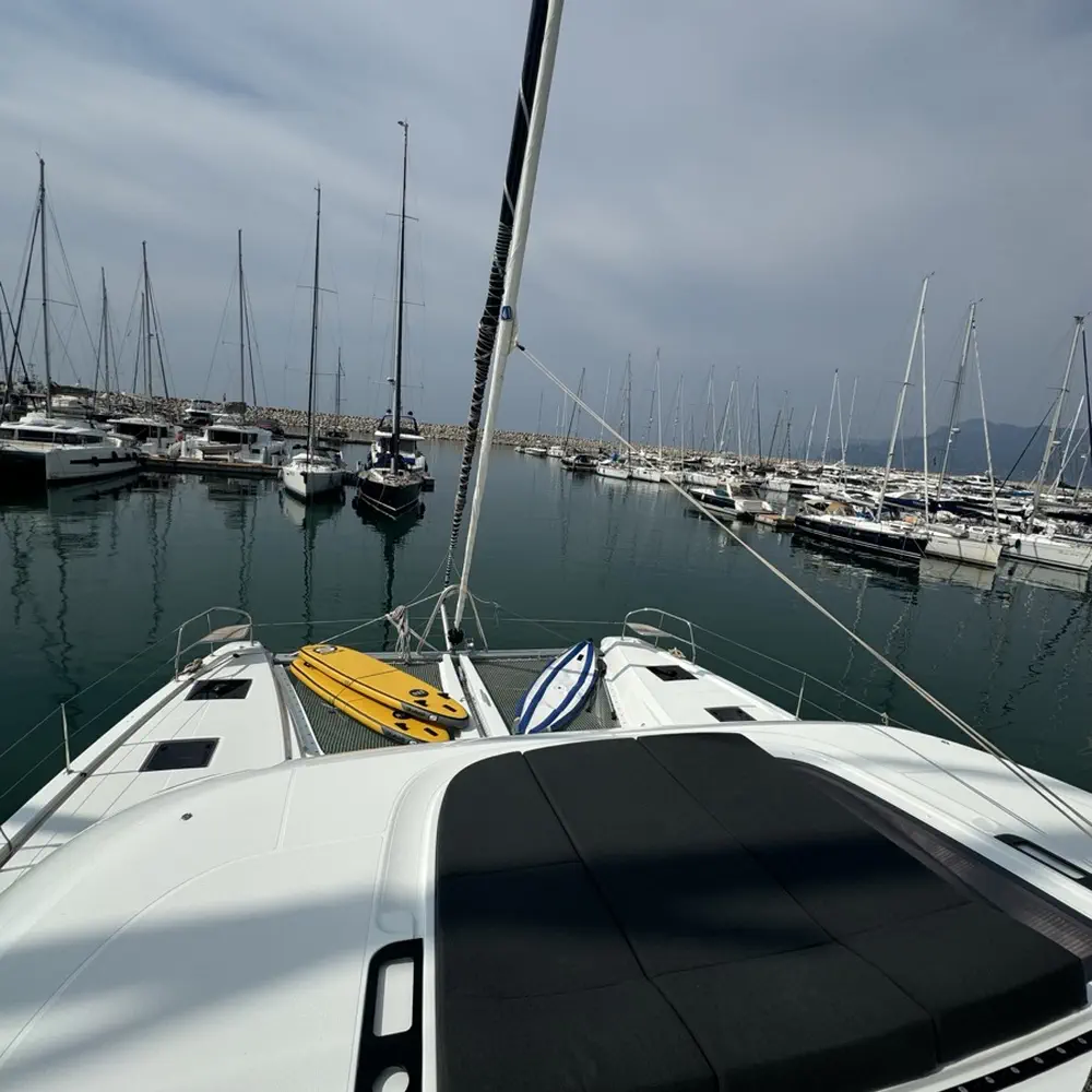 Jellyfish 29