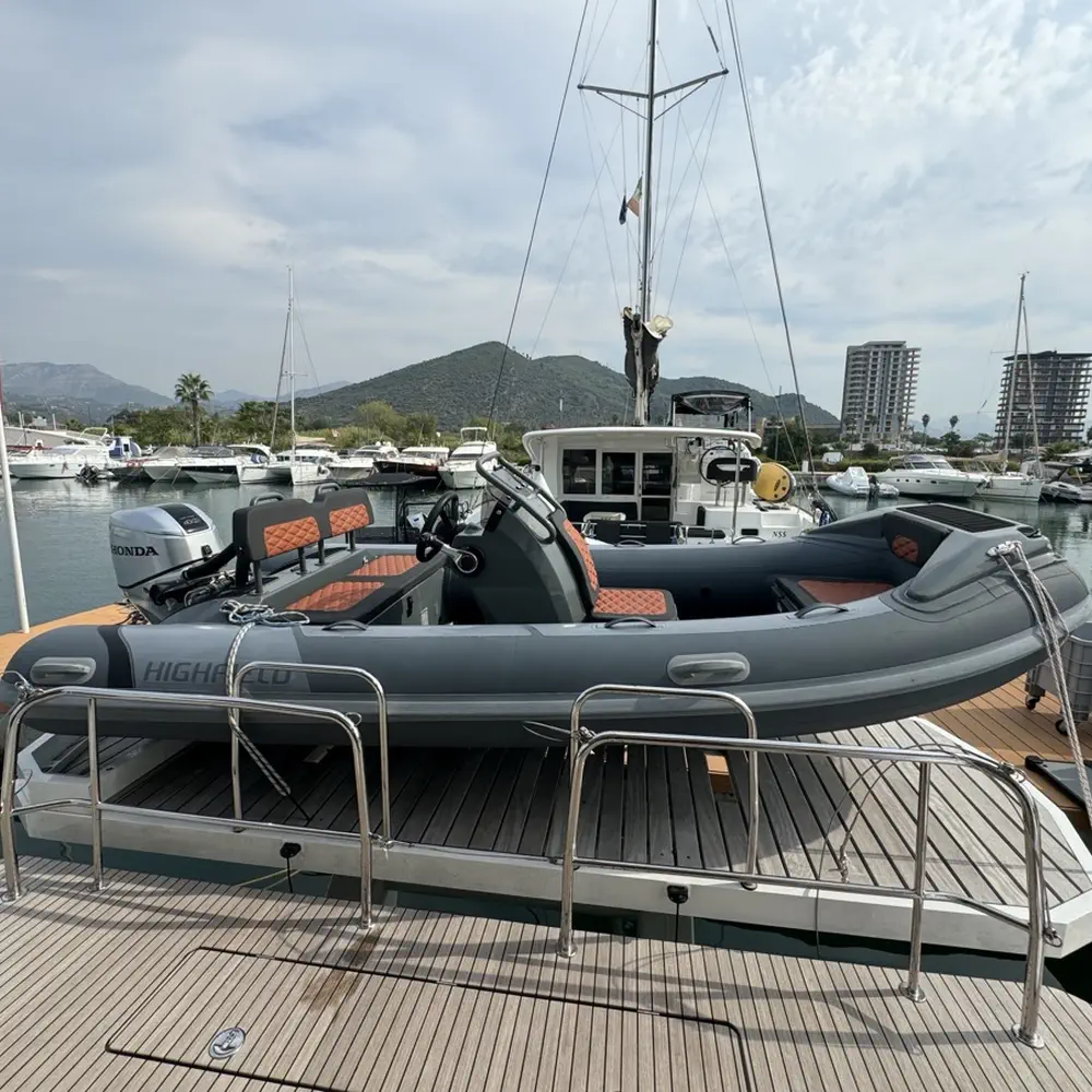 Jellyfish 25