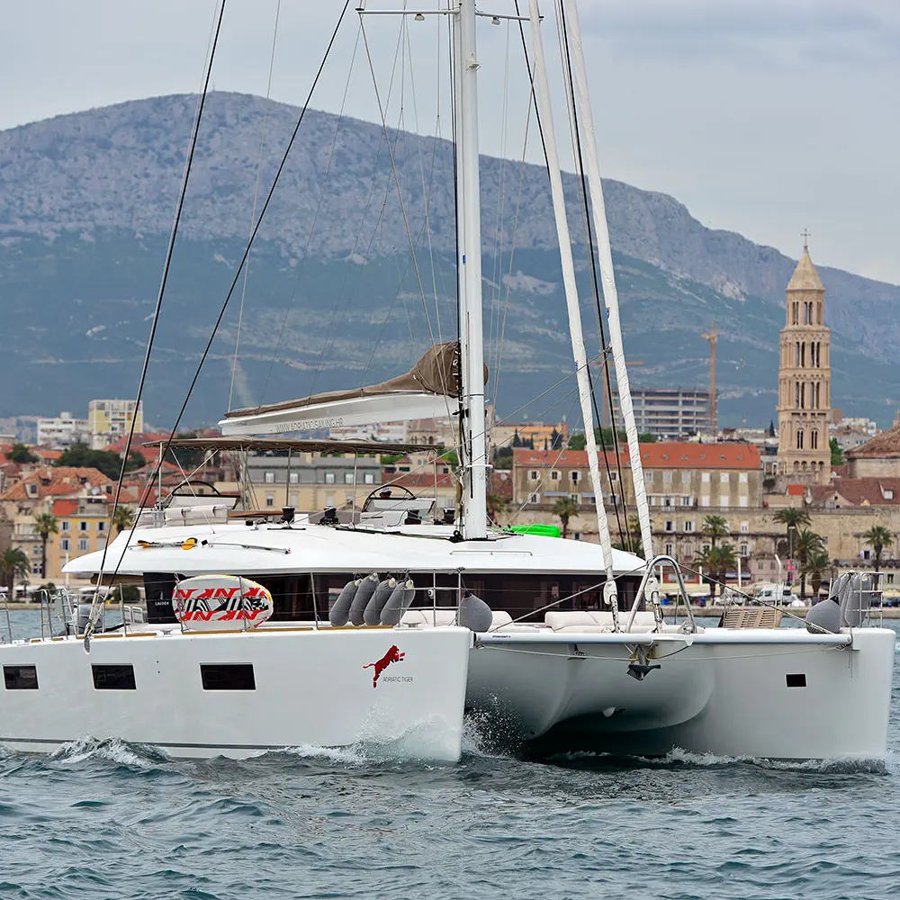 ADRIATIC TIGER 8