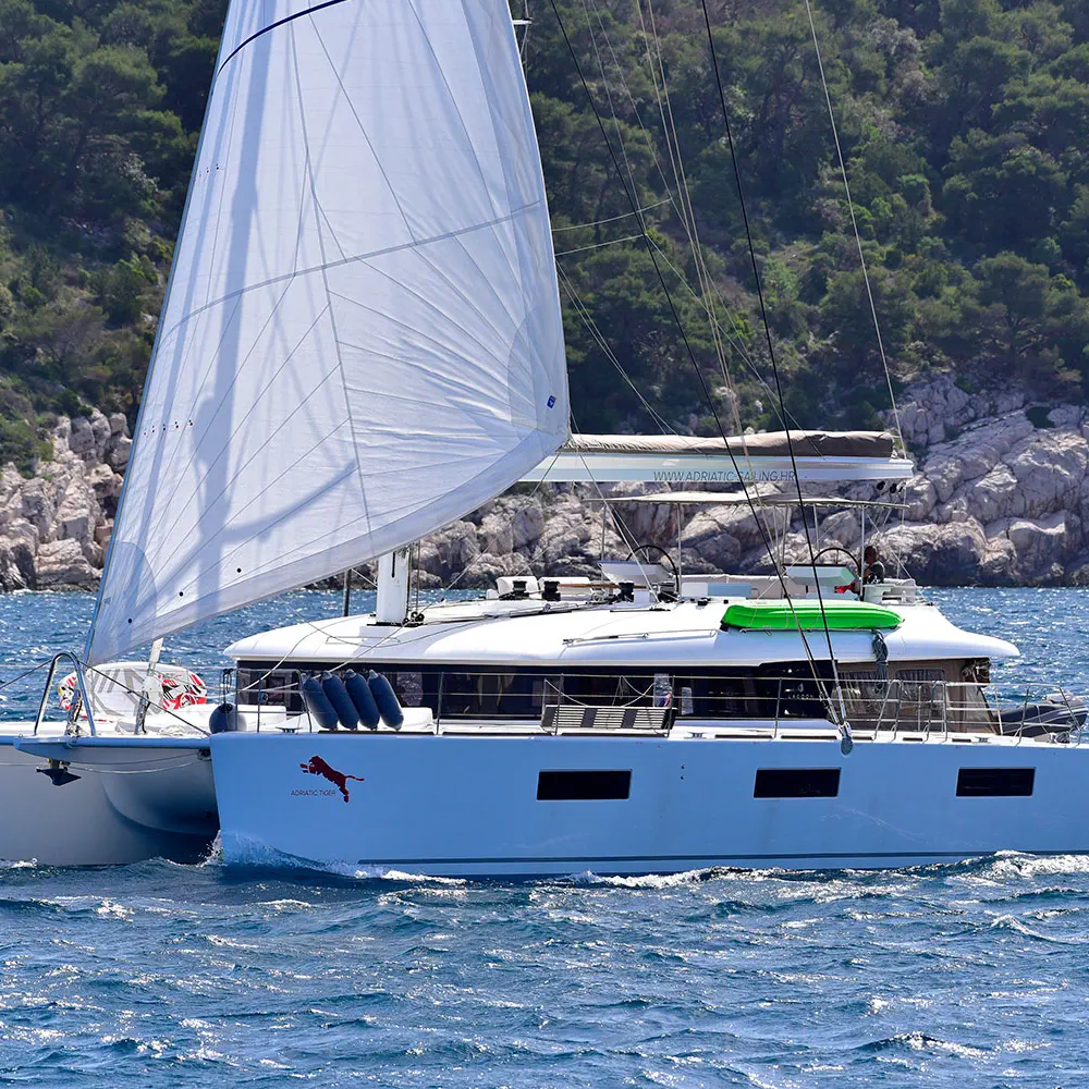 ADRIATIC TIGER 24