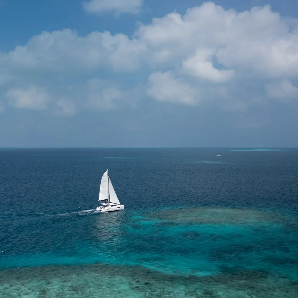 Sail La Vie 6