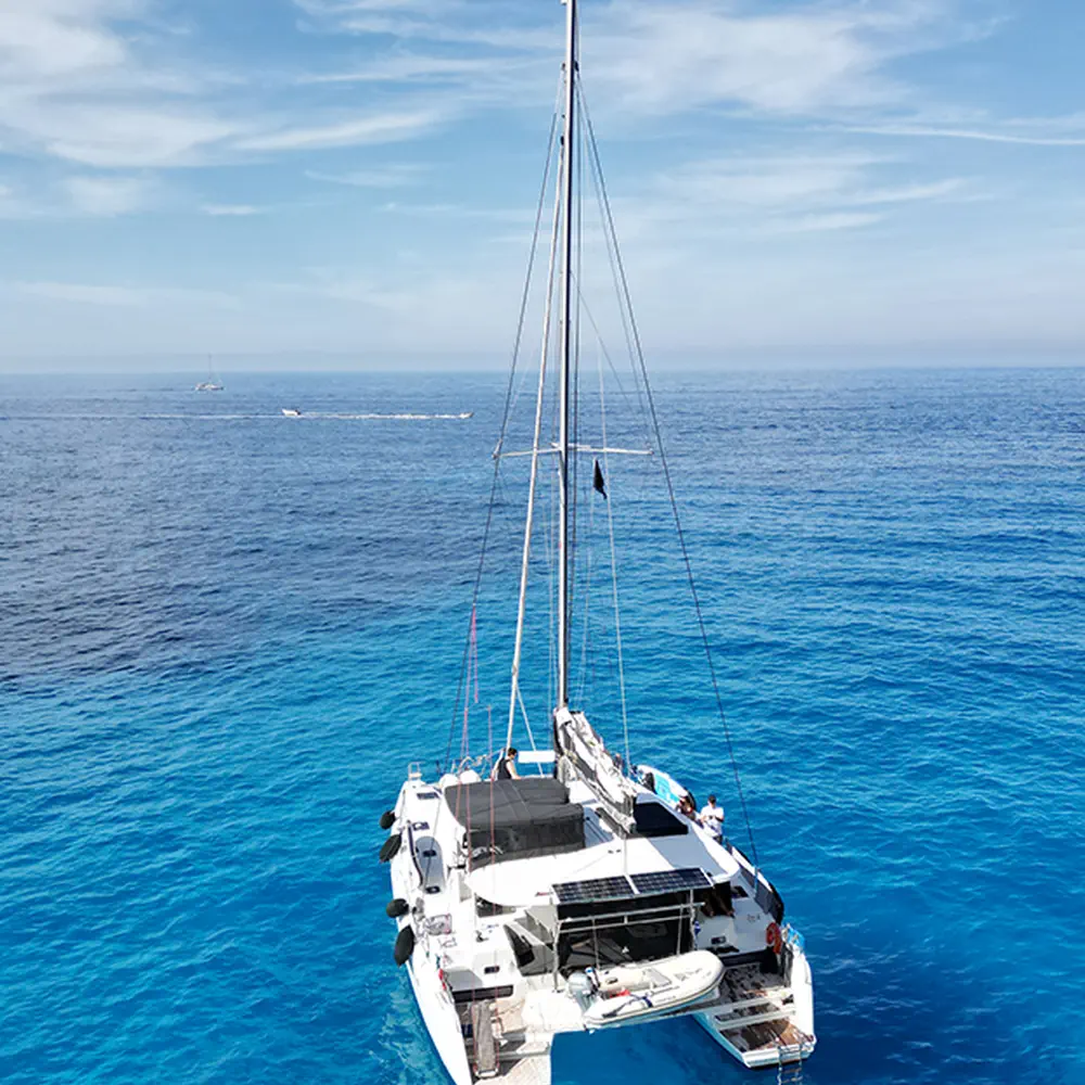 Dioni 40