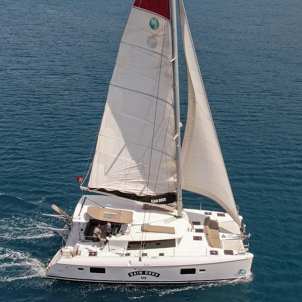 https://dsmkaagprkqin.cloudfront.net/images/lagoon/lagoon-421/catamaran/2860978720000101427-1746534908236577334-rain-dogs-1000x1000.webp