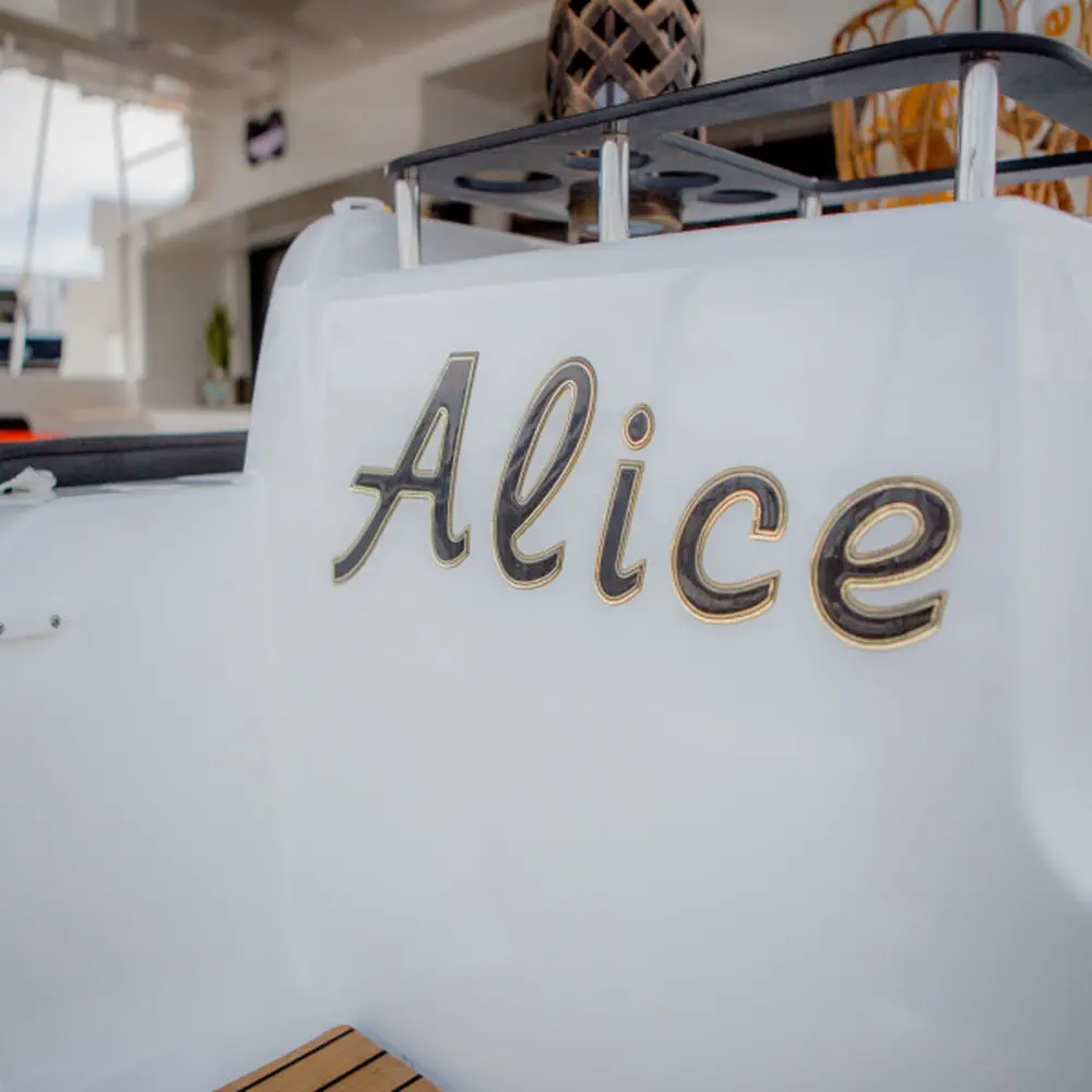 ALICE 16